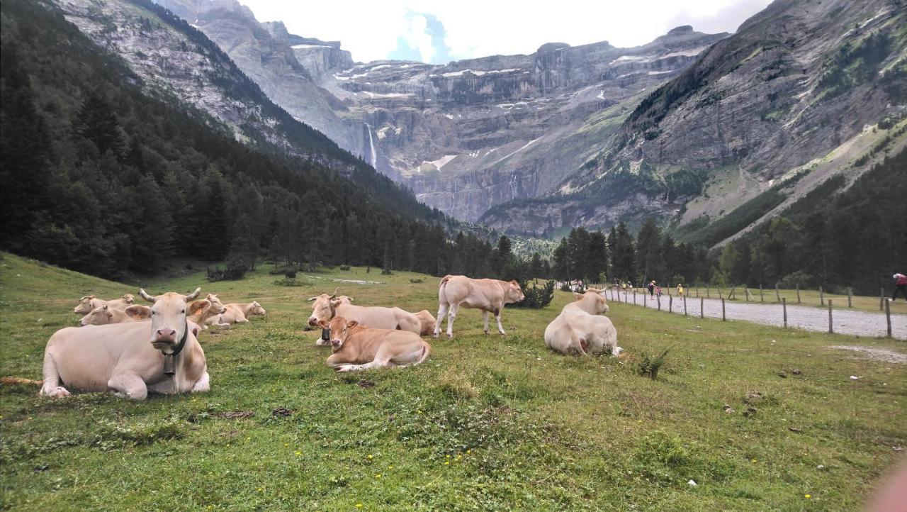 Studio En Pleine Montagne Avec Vue Sur Marmottes La Mongie Bagian luar foto
