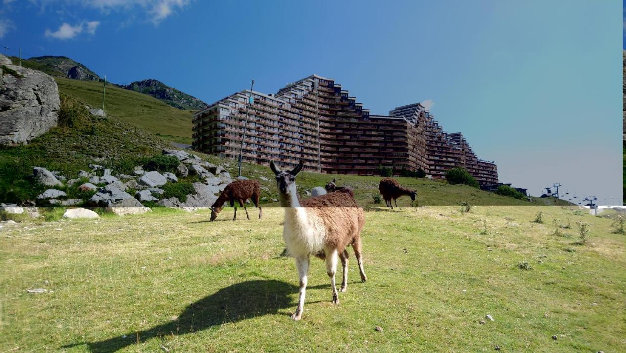 Studio En Pleine Montagne Avec Vue Sur Marmottes La Mongie Bagian luar foto